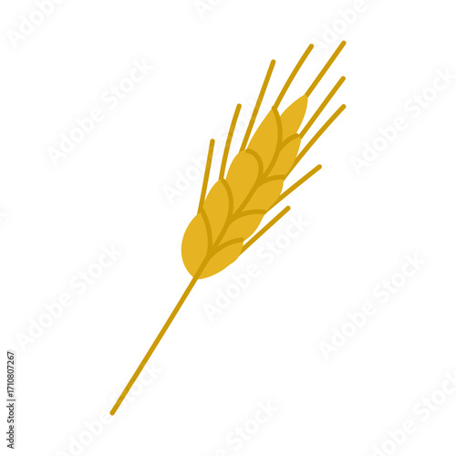 A yellow stalk of wheat with a brown tip. The stalk is thin and long