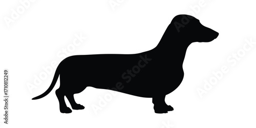Silhouette of a dachshund dog standing profile view