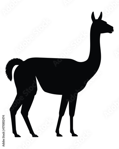 Black silhouette of a standing llama with long neck
