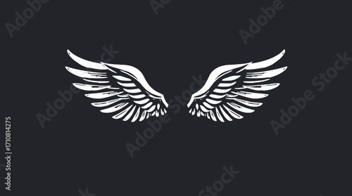Pair of stylized, detailed white wings against a dark background.