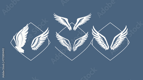 Three sets of stylized white wings are displayed within outlined diamond shapes on a blue background.