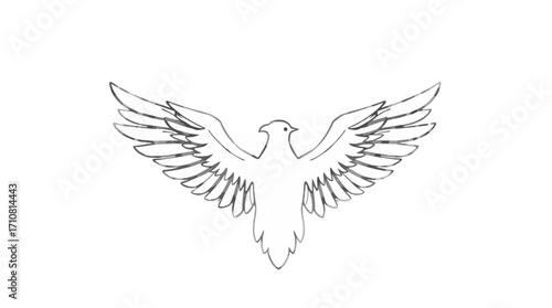 Line drawing of a bird with outstretched wings, viewed from the front, centered on a white background.