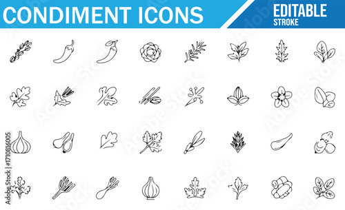 Flat stroke condiment icon collection with fresh herbs, chili pepper, garlic, onion, and botanical seasonings