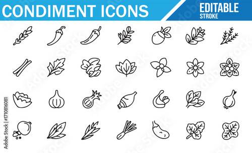 Modern vector illustration of condiments and seasonings with organic herbs, roots, spices, and leaves