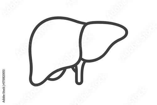 Liver icon human organ anatomy symbol. Vector line art illustration for hepatology, gastroenterology, and digestive system health. Medical, healthcare, and science concept.