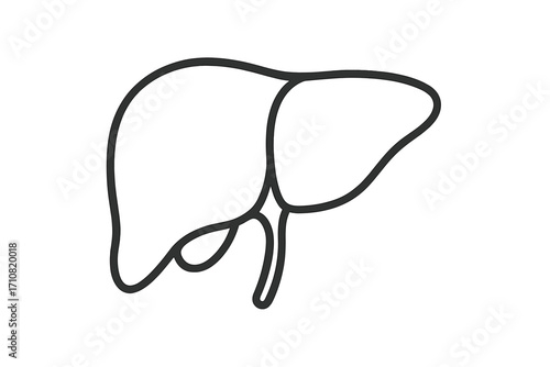 Human liver line icon. Anatomy internal organ symbol. Simple vector illustration for hepatology, digestion, and healthcare. Biology and medical pictogram isolated on white.