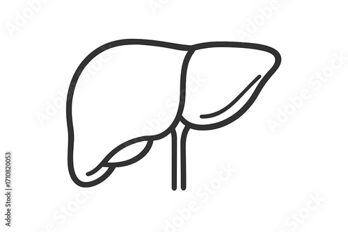 Liver icon vector. Human internal organ symbol for medical and anatomical design. Simple line art illustration for biology, healthcare, hepatology, and digestion concept.