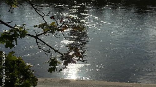 A serene waterscape showcasing sparkling sunlight reflecting on gently rippling water surface with overhanging tree branches creating natural framing, featuring autumn foliage and bright bokeh light p