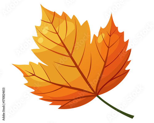 autumn leaf  icon,autumn leaf vector on white background