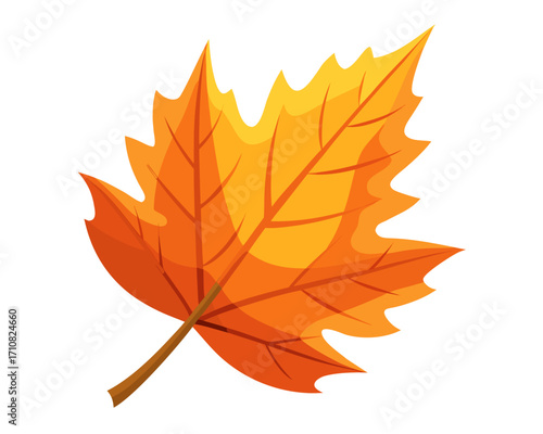 autumn leaf  icon,autumn leaf vector on white background