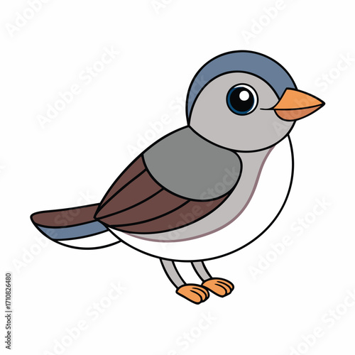 beautiful mocking bird  