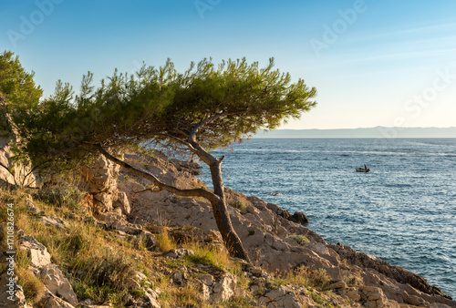 Fototapeta Naklejka Na Ścianę i Meble -  Generated image