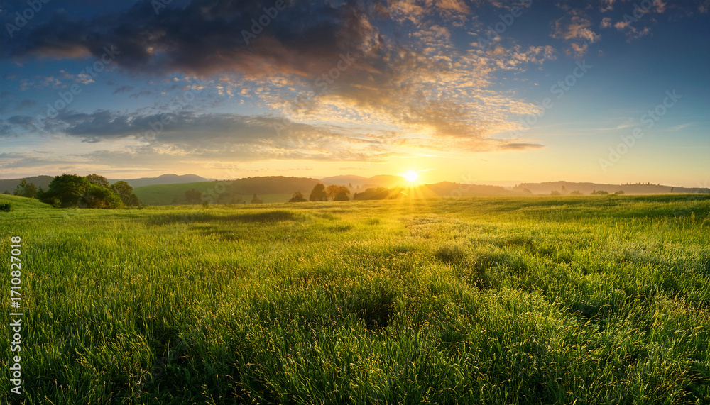 Obraz premium Vibrant Green Meadow At Sunrise Or Sunset The Colorful Summer Sky And Golden Sunlight Casting A Warm Glow Over The Wide Tranquil Landscape Creating A Peaceful And Beautiful Morning Panorama