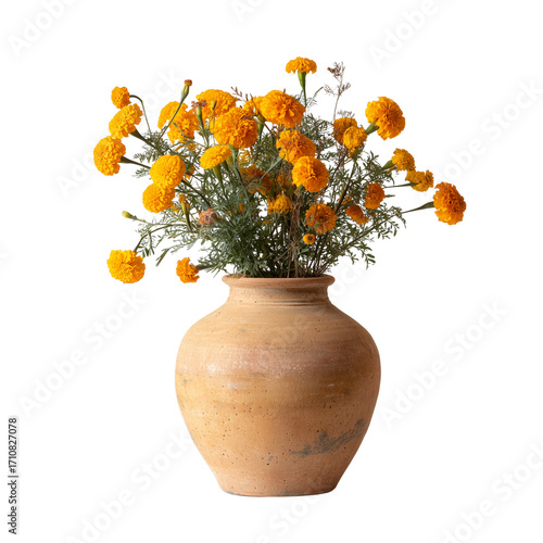 Wallpaper Mural Bright orange ranunculus flowers bloom in rustic terracotta vase studio still life isolated on transparent background Torontodigital.ca