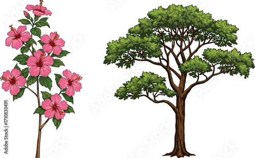 Pink hibiscus shrub, flowering plant, large green tree, foliage contrast, botanical illustration, nature design, summer bloom, garden scene, vibrant flora, landscape art