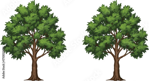 Realistic Green Trees Illustration, Lush Summer Foliage, Nature Background, Isolated on White, Perfect for Eco Designs, Landscaping Concepts