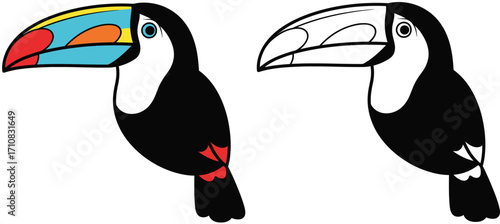 Colorful and Black and White Toucan Bird Vector Illustration Set