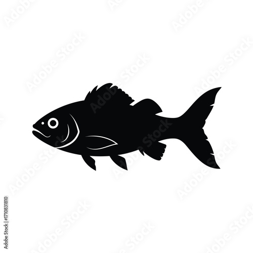A striking black fish profile illustration beautifully rendered as a silhouette