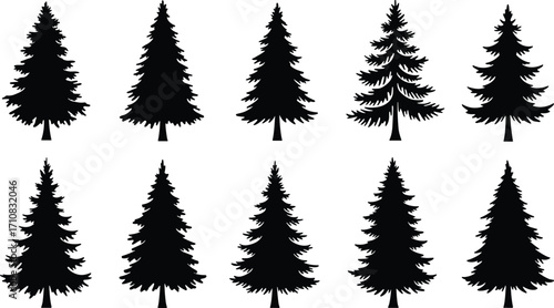 Collection of pine tree silhouettes, black evergreen icons, vector Christmas trees, isolated nature elements, graphic design set
