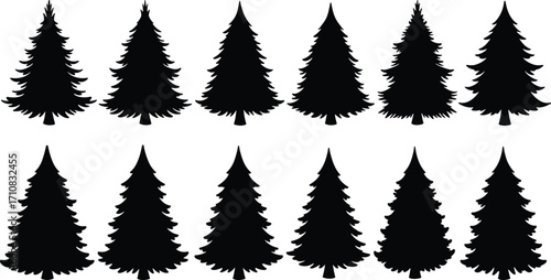 Set of black pine tree silhouettes, vector Christmas trees, isolated evergreen icons, nature design elements, graphic illustration collection