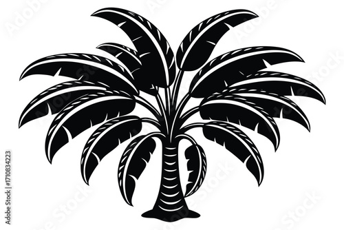 banana tree vector icon