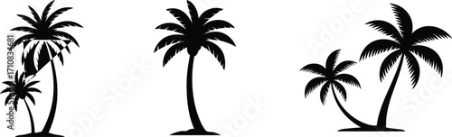 Palm tree silhouette illustration, tropical island design, coconut tree landscape, summer vacation scenery, exotic paradise beach, coastal nature holiday background