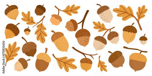 Rustic acorns and oak leaves illustration in autumn colors with natural seasonal elements perfect for fall decoration botanical design forest foliage and nature inspired artwork