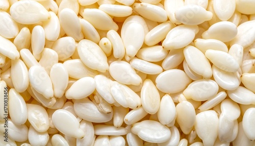 Close-up view of many white sesame seeds, showcasing their smooth, light cream color and delicate, oval shapes.