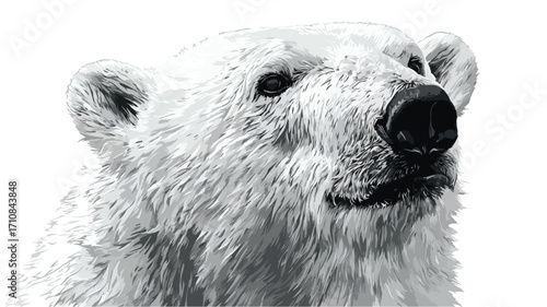 Adult Polar Bear Portrait Isolated White Background - Professional Wildlife Photography