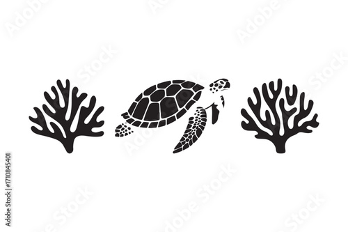 Silhouette of a sea turtle swimming between two coral branches