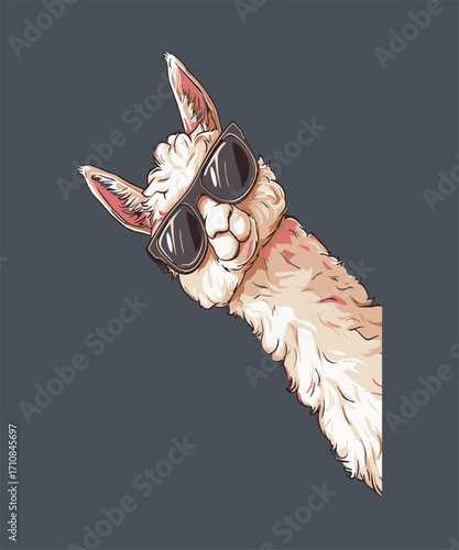 Llama_Halloween_Design_2