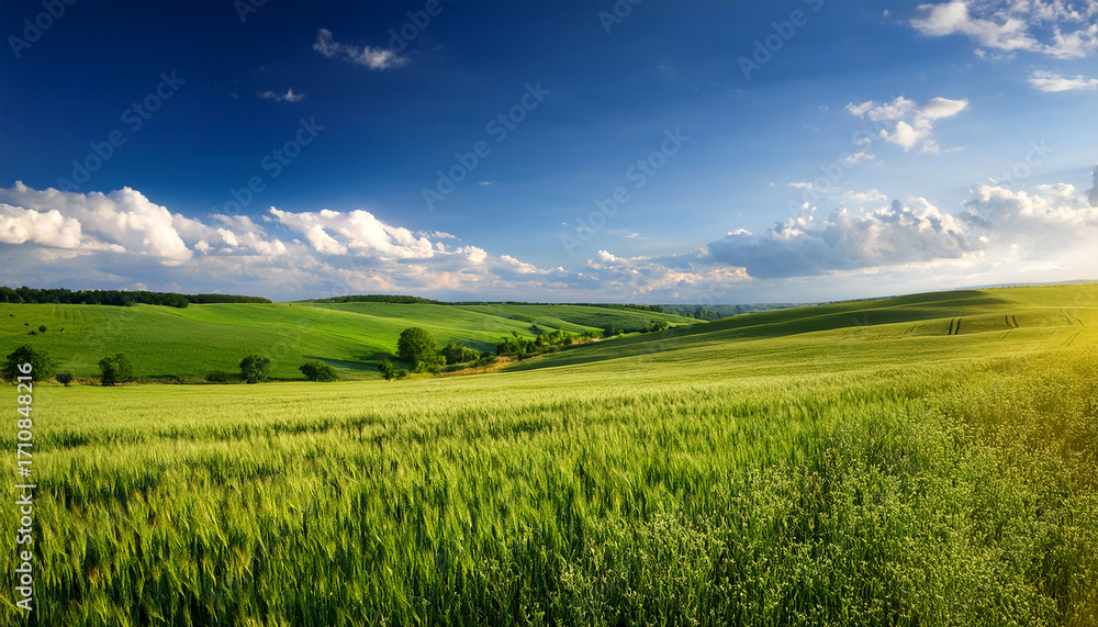 Fototapeta premium Stunning Summer Landscape With Green Field And Blue Sky