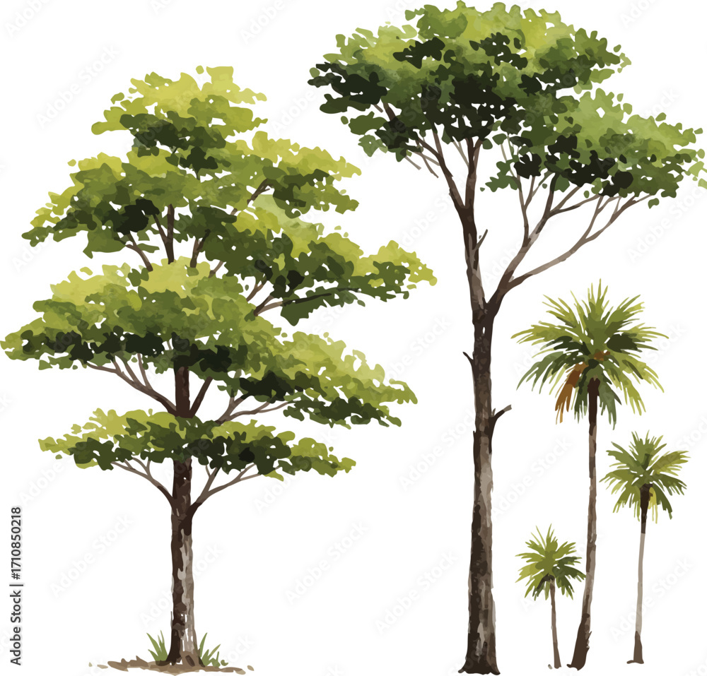 custom made wallpaper toronto digitalWatercolor painted tree collection isolated on white background nature illustration