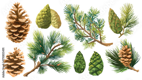 Whimsical Cartoon Pine Cones and Branches in Fir Shell Timber
