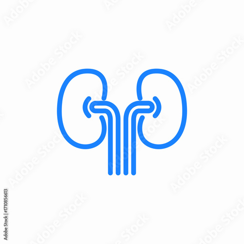 kidney human icon sign vector