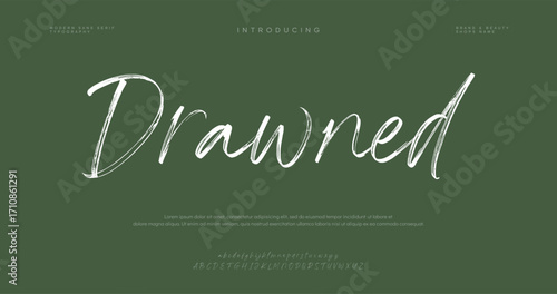 Signature Font Calligraphy Logotype Script Brush Font Type Font lettering handwritten