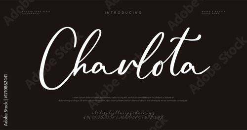 signature Font Calligraphy Logotype Script Brush Font Type Font lettering handwritten