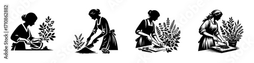 Modern Minimalist Woman Cutting Herbal Leaf Icon, Flat Silhouette of a Cooking Figure Vector for Kitchen Illustration Design