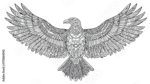 Majestic Eagle Vector Illustration with Detailed Outline Design