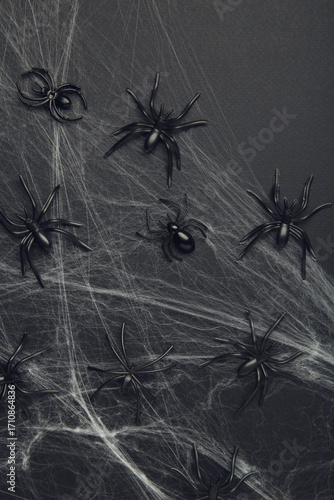 Halloween background with spider web and spiders as symbols of Halloween on black background. Vertical photo