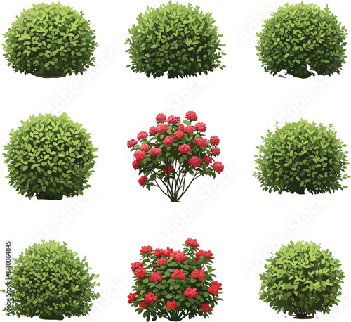 Bushes with flowers, green foliage, landscape plants, garden shrubs, botanical variety, outdoor design, seasonal bloom, nature elements, plant textures, decorative greenery