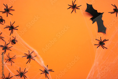 Halloween background with spider web and spiders as symbols of Halloween on the orange background.