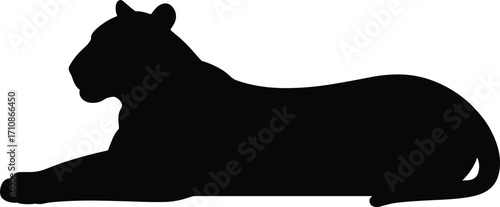 Majestic black panther lying down silhouette for graphic design