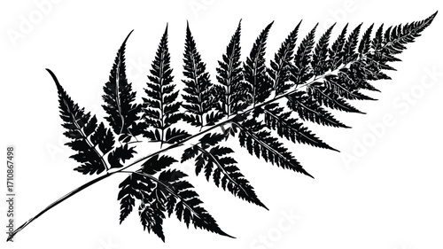 Exquisite Fern Vector Illustration Featuring Wild Plant Leaves Held in Hand