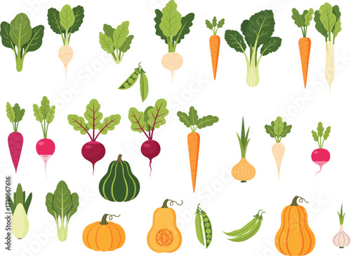 Root vegetables, leafy greens, squash, garlic, onion, colorful produce, healthy food, organic ingredients, kitchen prep, nutrition asset, cooking
