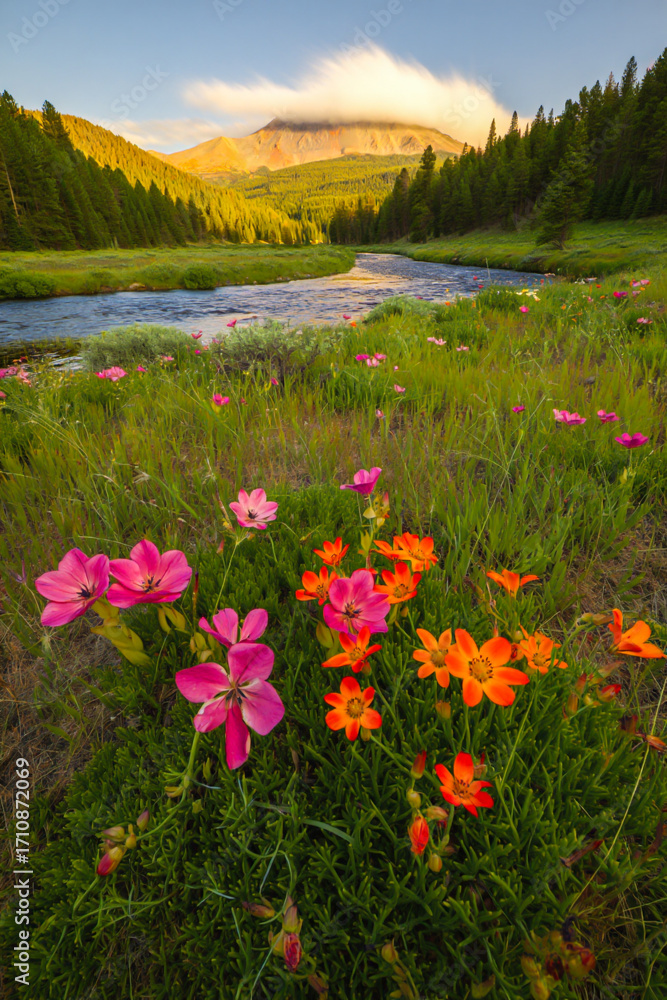 Obraz premium Vibrant wildflowers bloom beside a winding river in a sunlit mountain valley