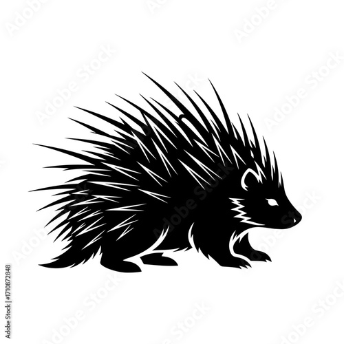 hedgehog on a white background