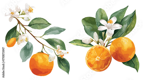 Vibrant Orange Branches with Fresh Oranges and Blooming Flowers