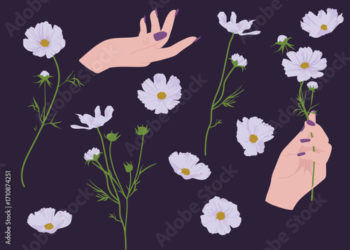 Cosmos with elegant hands