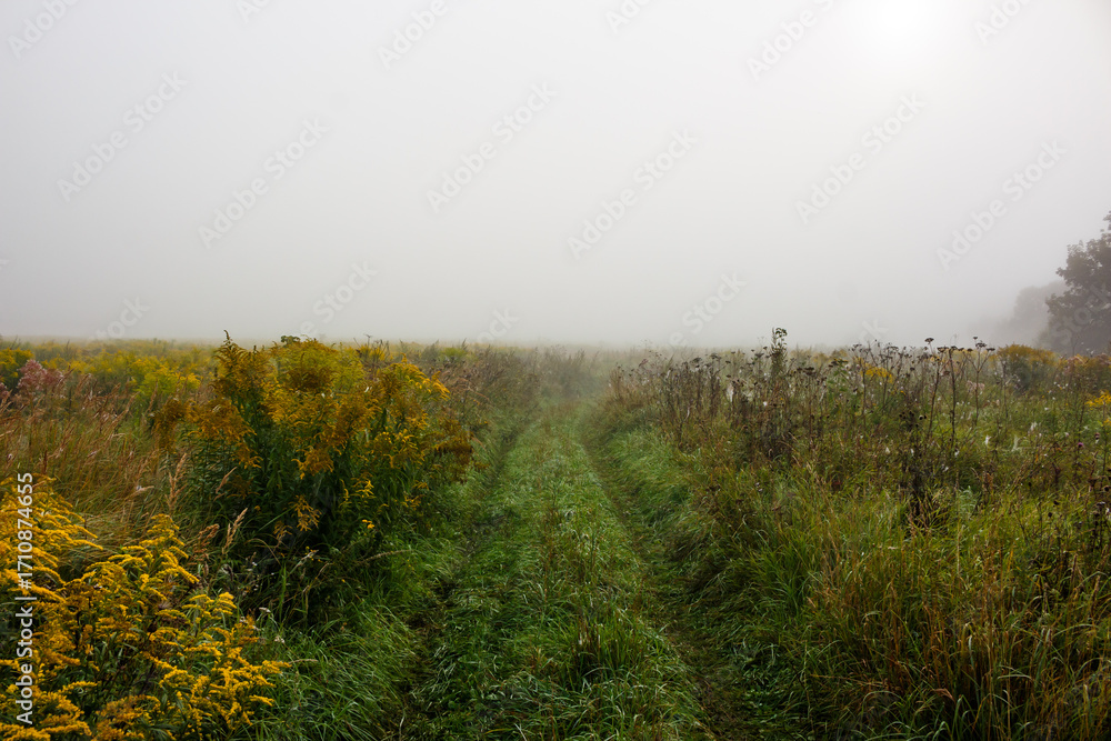 Fototapeta premium Field road going through fog